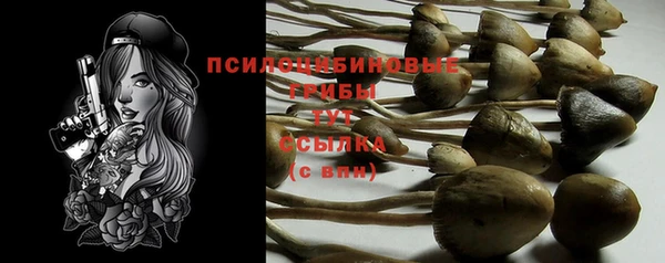 спиды Абдулино
