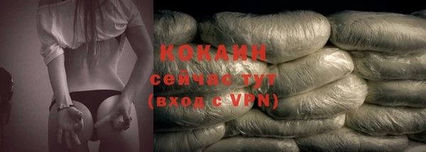 стаф Абаза