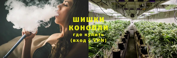 СК Абинск