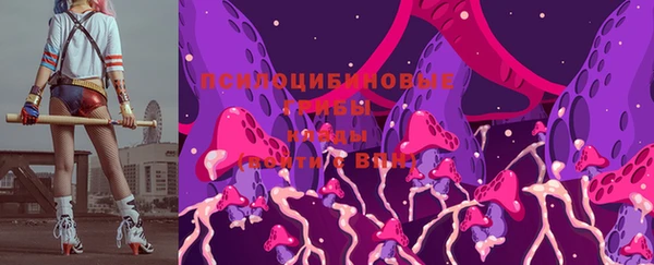 стаф Абаза