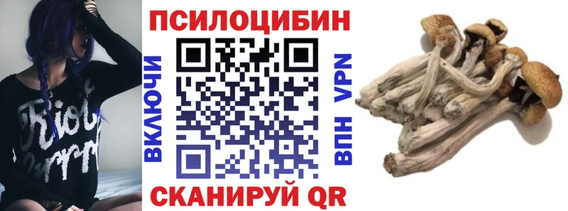 Псилоцибиновые грибы Cubensis Суздаль